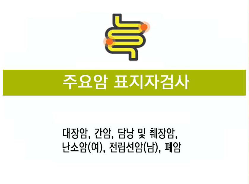 주요암 표지자검사
